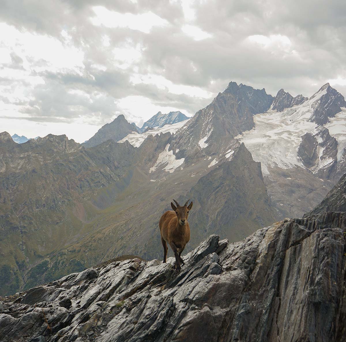 Parco Nazionale dello Stelvio